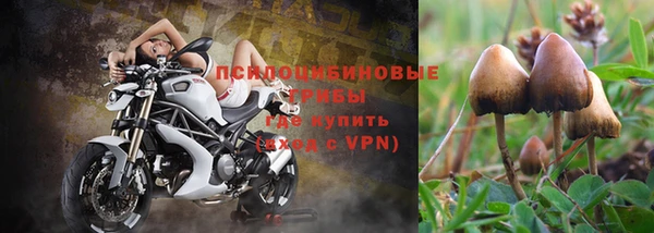 кокс Струнино