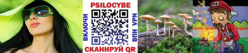 купить наркотик  kraken зеркало  Галлюциногенные грибы мицелий  Шенкурск 